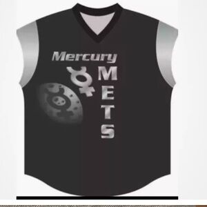 Mercury NY Mets Mike Piazza Jersey from Stadium